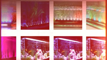 Strictly LED’s Now Offers Energy Efficient LED Strip Lights