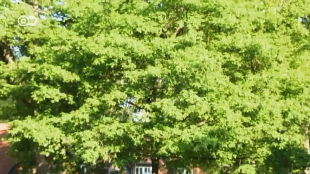 Offroad mit Skoda Octavia Scout Combi | Motor mobil