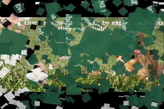 Wireless Dog Fence Reviews-Understand Pros and Cons of Various Products