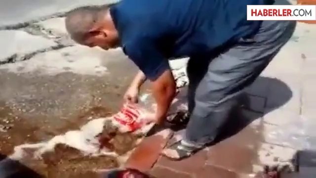 İsrail'i Boykot İçin Kolaları Yola Döktü