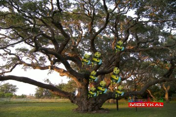 Mozykal - bees´attack