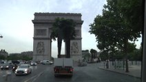 Les palmiers de Paris Plages traversent la capitale