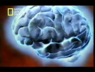 Privacion de sueño: Cognicion y fisiologia