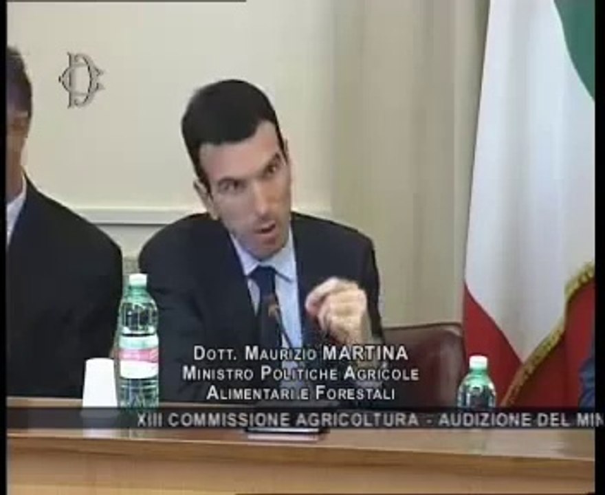 Roma - Semestre italiano, audizione Ministro Martina (22.07.14)