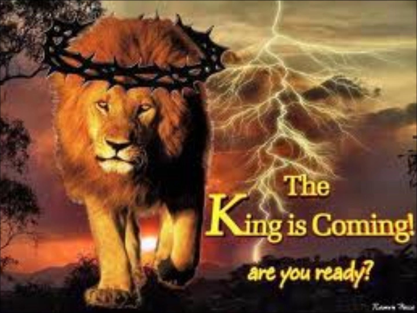 RHYTHM OF THE LION OF JUDAH