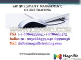 SAP QM Online Training by SAP QM Professional Trainers in India  UK  USA_4