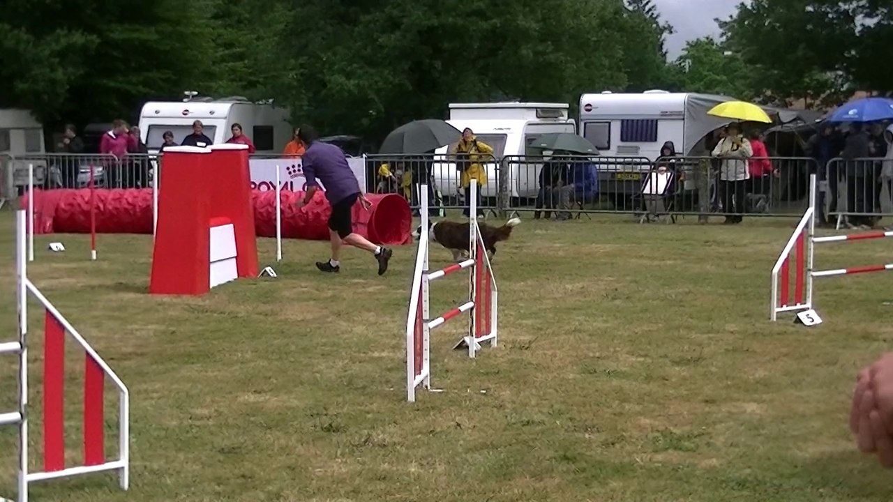 Les Sorinières 2014 VIVI VICE CHAMPIONNE DU GPF M2 JUMP