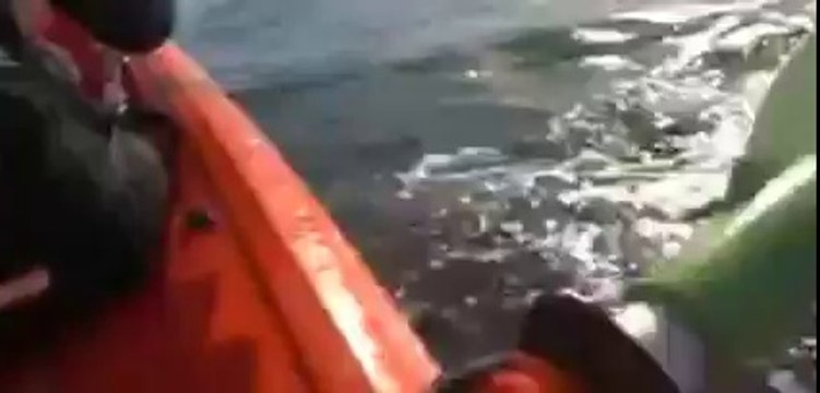 Incredible moment a whale lifts kayakers out of the water