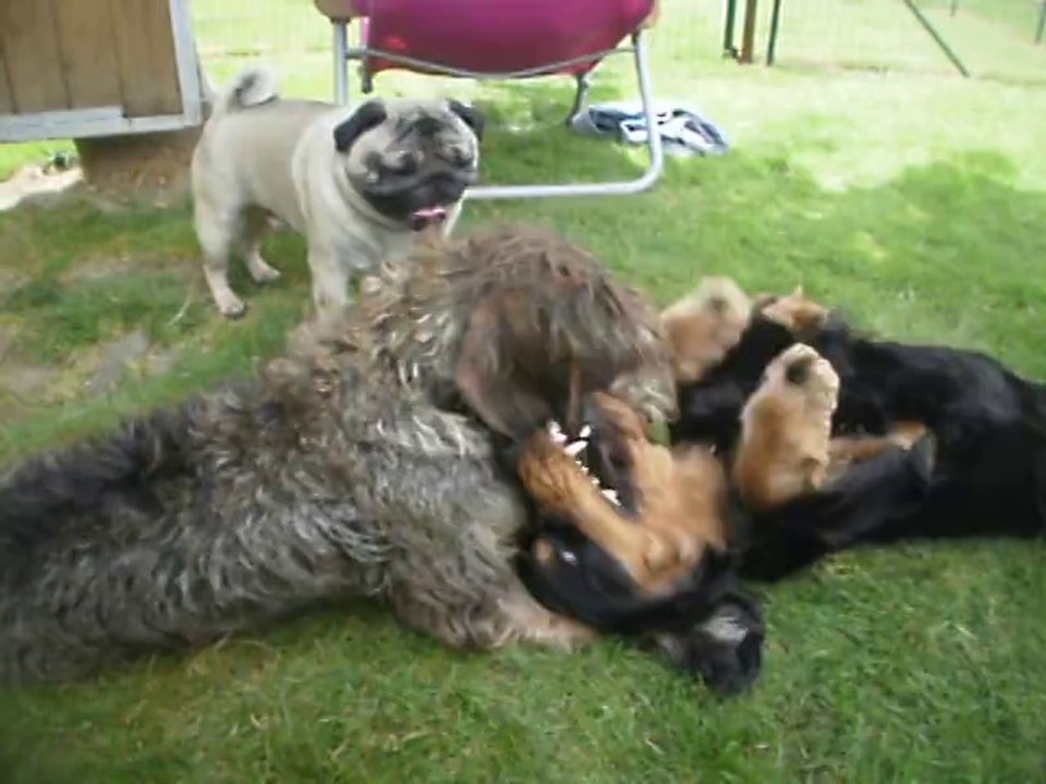 Aiko, Elixir et Idu