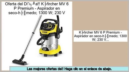 ofertas Kärcher MV 6 P Premium - Aspirador en seco-húmedo; 1300 W; 230 V