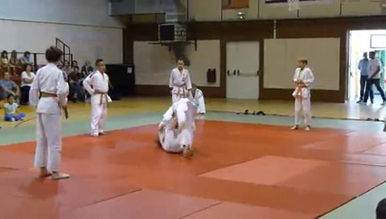 Démonstration de show judo