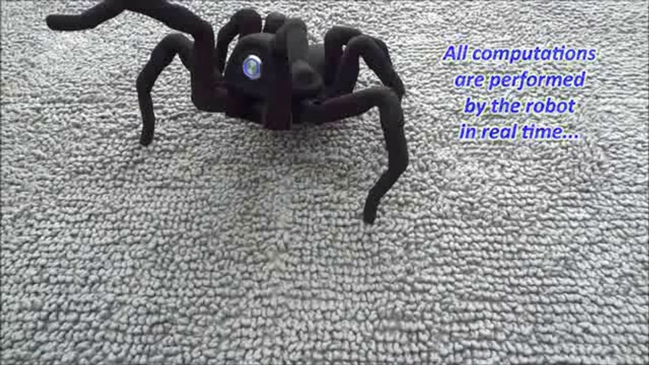 T8 the Bio Inspired 3D Printed Spider Octopod Robot!