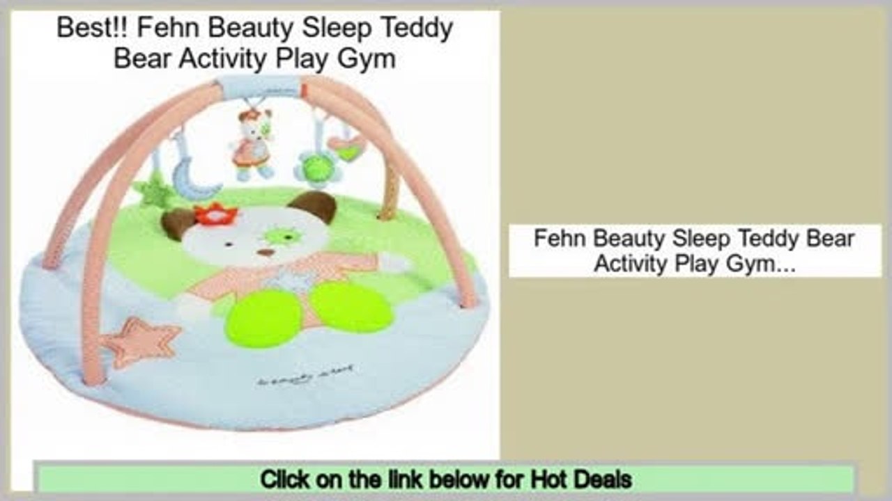 teddy play gym