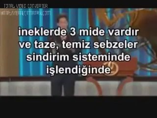 Domuz eti neden haram