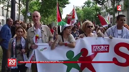 Manifestation pro-palestinienne à Paris : "Nous, on est en train de chercher la paix ici"