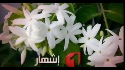 Caméra Cachée Wat 1 - EP 22 - 23_07 - الكاميرا الخفية