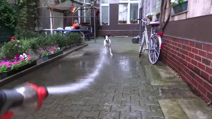 Kessy und die Wasser-Pistole