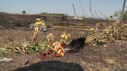 OSCE team finds 'puncture marks' on MH17 fuselage