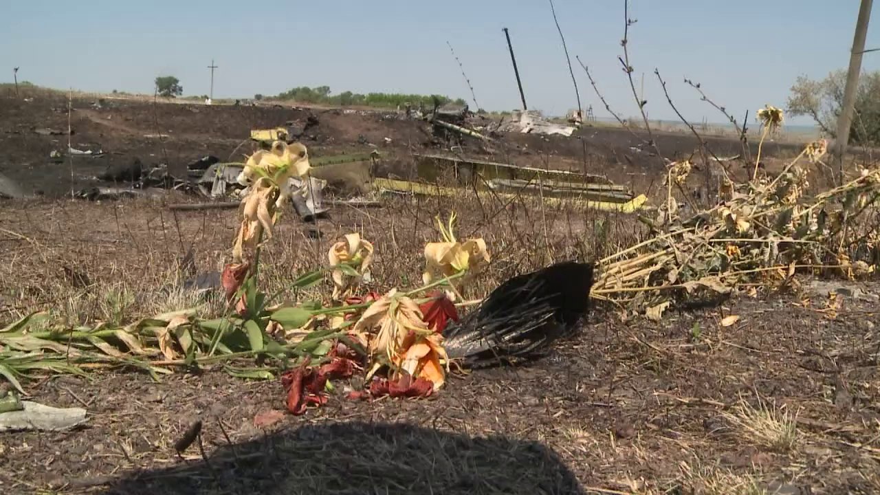 OSCE team finds 'puncture marks' on MH17 fuselage