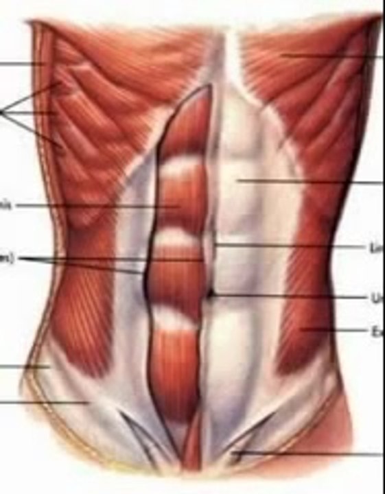 The Truth About Abs Review