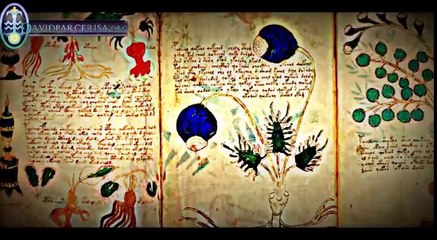 MANUSCRITO VOYNICH  EL LIBRO MÁS MISTERIOSO DEL MUNDO