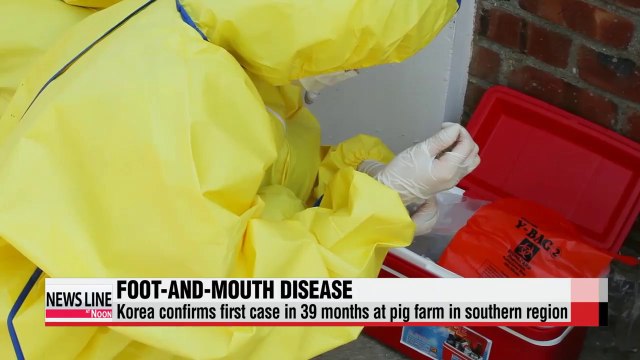 Korea confirms case of foot-and-mouth disease at pig farm