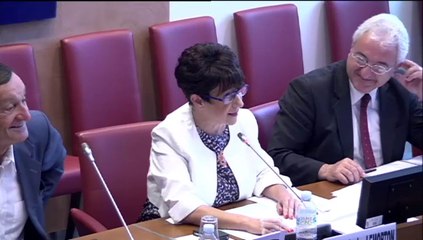 Projet de loi de financement rectificative de la sécurité sociale pour 2014 - Mercredi 23 Juillet 2014