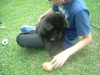 23 juillet 2014 (1) : 7 semaines