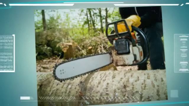 JJMLL Tree & Landscaping Services (206) 931-3558