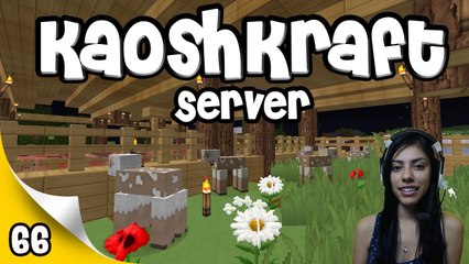 KaoshKraft SMP - EP 66 - Naked Sheep!