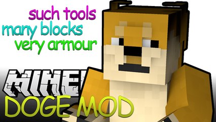 Much Blocks, Such Wepons, Many Mob - Minecraft Doge Mod