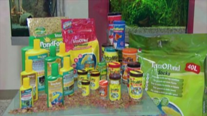 Comida seca para peces