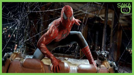 Örümcek Adamın Kedi Versiyonu