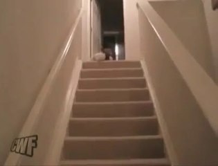 Bebé inteligente bajando escaleras