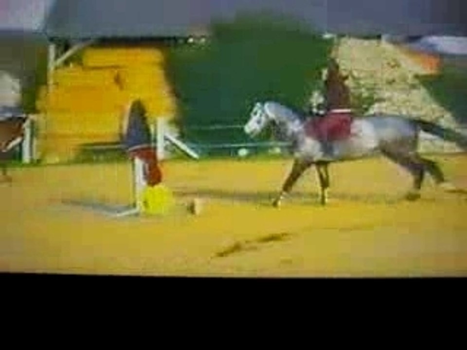 séance obstacle janvier 2007