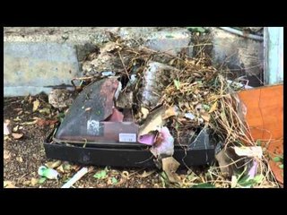 Napoli - Caos viabilità in zona ospedaliera e proteste dei giardinieri (23.07.14)