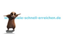 Sie möchten sich effektiv Ihre Ziele setzen und erreichen und Ihren inneren Schweinehund überwinden