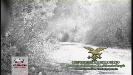 Forestale, arrestato incendiario nel foggiano: il video dell’incendio