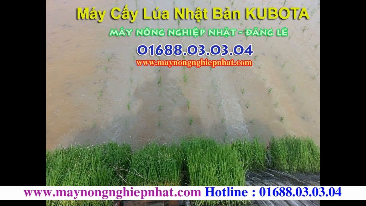 [Đănglê]Bán máy cấy lúa tự động-máy cấy lúa bằng tay mini Nhật Bãi Kubota SP giá tốt nhất