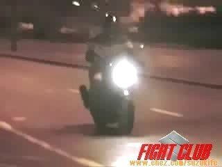 Blaireau Voulant Faire Un Stoppy