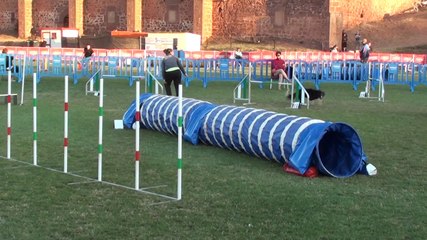 11 GOTOR ESPAGNE  ARMELITA