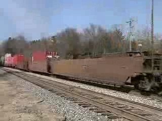 NS #204 W/ #8843 Leading