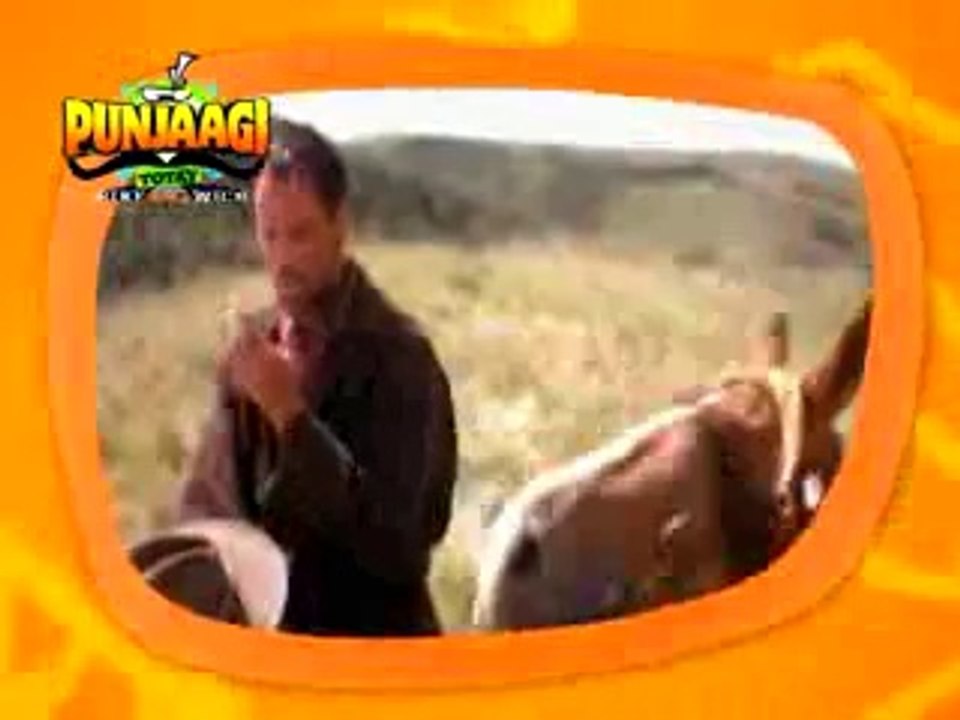 Dakoo {SBKSM}