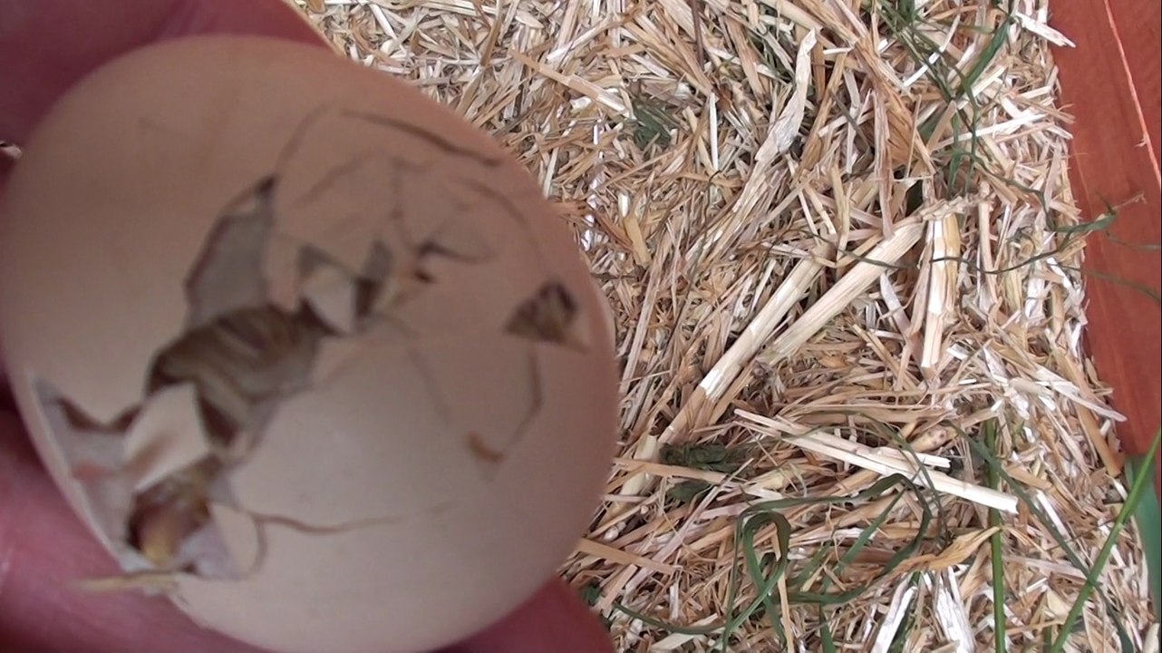 Je me prépare à sortir