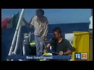 Boe intelligenti per controllare le correnti marine