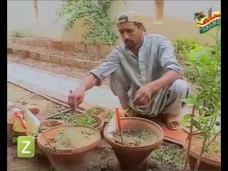 garlic & vegetable by Tofiq pasha.