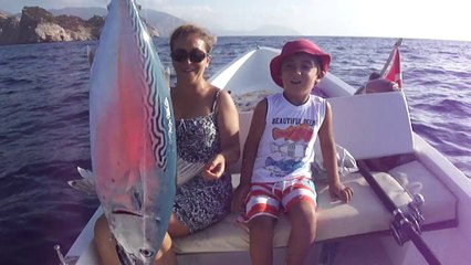 YEMLIK PALAMUT BEKLERKEN 3 KG YAZILI ORKINOS GELDI - www.adrasanbalik.com