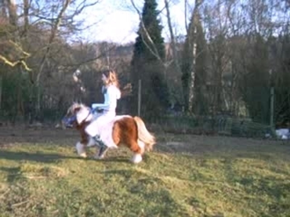 pikatchu au galop pas de coup q