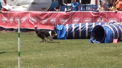 GOTOR ESPAGNE équipe GAIA