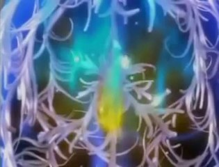 Viagem Interna / Realidade Espiritual (Português/Completo)